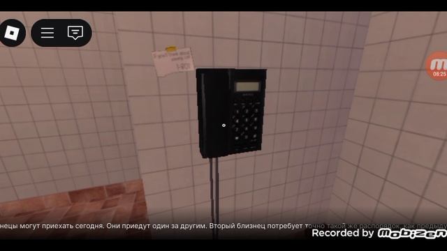 шаурма шаурма