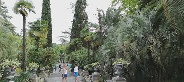 Дендрарий, Сочи