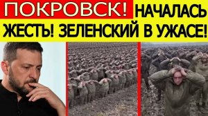 Покровск всё? ВСУ массово сдаются в плен. Срочная информация о боях в ДНР. Новости СВО сегодня