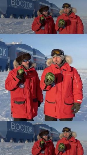 Самые дорогие арбузы - в Антарктиде!