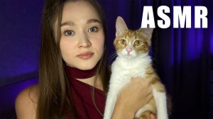 АСМР глажу котика на протяжении 10 минут, мурчащий триггер