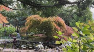 ВЕЛИКОЛЕПНЫЙ САД ПОД БОСТОНОМ ВОЛШЕБНЫЕ КРАСКИ ОСЕНИ , Часть 2 октябрь 2025