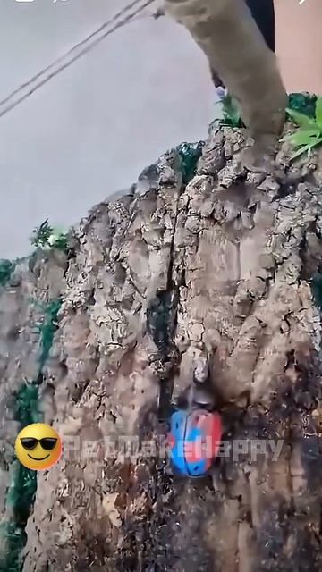 Эти жуки одеты лучше меня! 💎🐞🤯