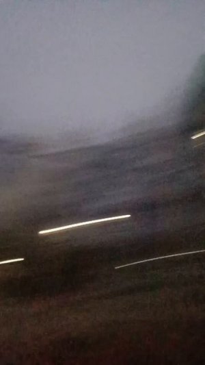 На нас с Димой напал сереноголовый.