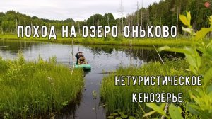 Нетуристическое Кенозерье. Поход на Оньково
