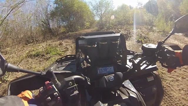 #горячийключ #фанагорийское #базаотдыха #родничок 03.11.2025