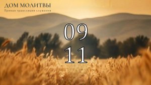 09.11.2025 - Прямая трансляция ст.Елизаветинская