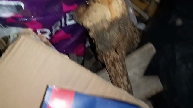 📢🚘🧐Поедем поглядим🤓 находки из🗑📢 смотреть онлайн