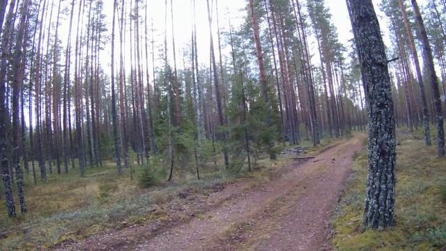 Конец грибного и ягодного сезона 2025!!!