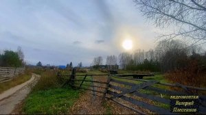 СМОТРЮ И НЕ ВЕРИТСЯ