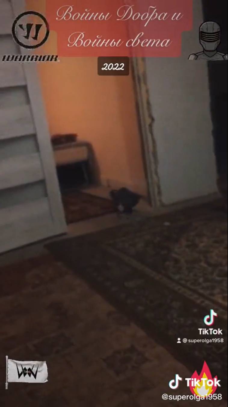 Войны дбра войны света