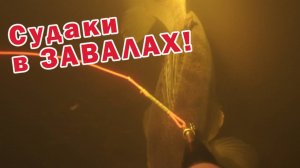 ТАКИХ ВЫСТРЕЛОВ ЕЩЁ НЕ БЫЛО!!! ПОДВОДНАЯ ОХОТА В ЛЮТЫХ ЗАВАЛАХ!!!