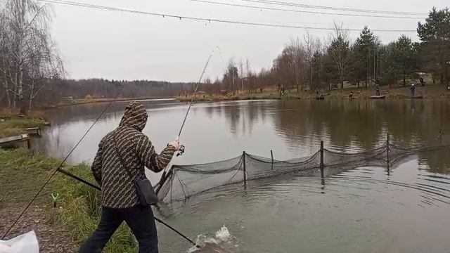 Форель6 смотреть онлайн