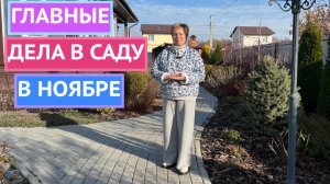 САД В НОЯБРЕ! УСПЕЙТЕ ЭТО СДЕЛАТЬ!