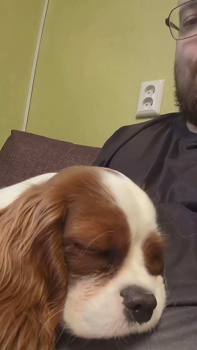 Михаил Нос - Видеозаметка №64