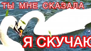 Ностальгия. Ты мне сказала: «Я скучаю».