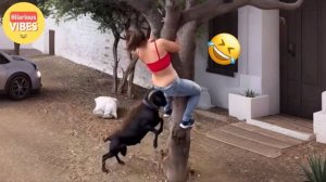 Самые смешные видео недели 😂 Постарайтесь не смеяться 😆🤣