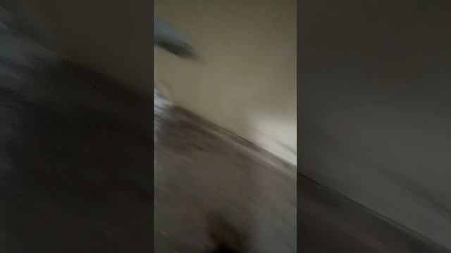 5 сезон 2 серия улица №2 (последний сезон в истории) смотреть онлайн