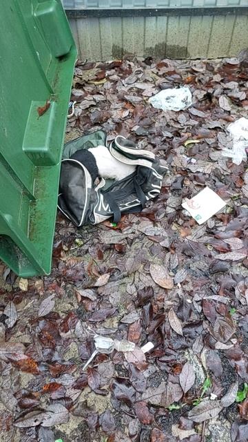 Нелюди оставили 3 щенят в лесу  у контейнеров с мусором. Люди , надежда, кто-то  увидит и  пристроит