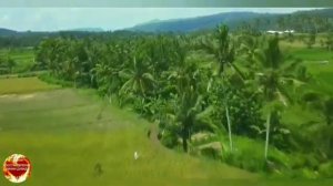 ВОЗЛЮБЛЕННЫЙ ИЗРАИЛЬ МОЙ ! БОГ ЧЕРЕЗ АПОСТОЛА ИГОРЯ РОМЕНСКОГО ДАЁТ ОТ ПРЕСТОЛА СЛАВЫ ПСАЛМЫ ЛЮДЯМ!