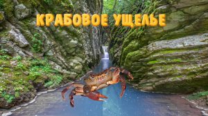 Крабовое ущелье, было многого интересного. Лазаревское Сочи