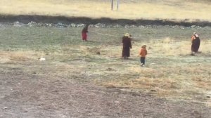 Случаи, Когда Животные Показали, Что с Ними Лучше не Связываться