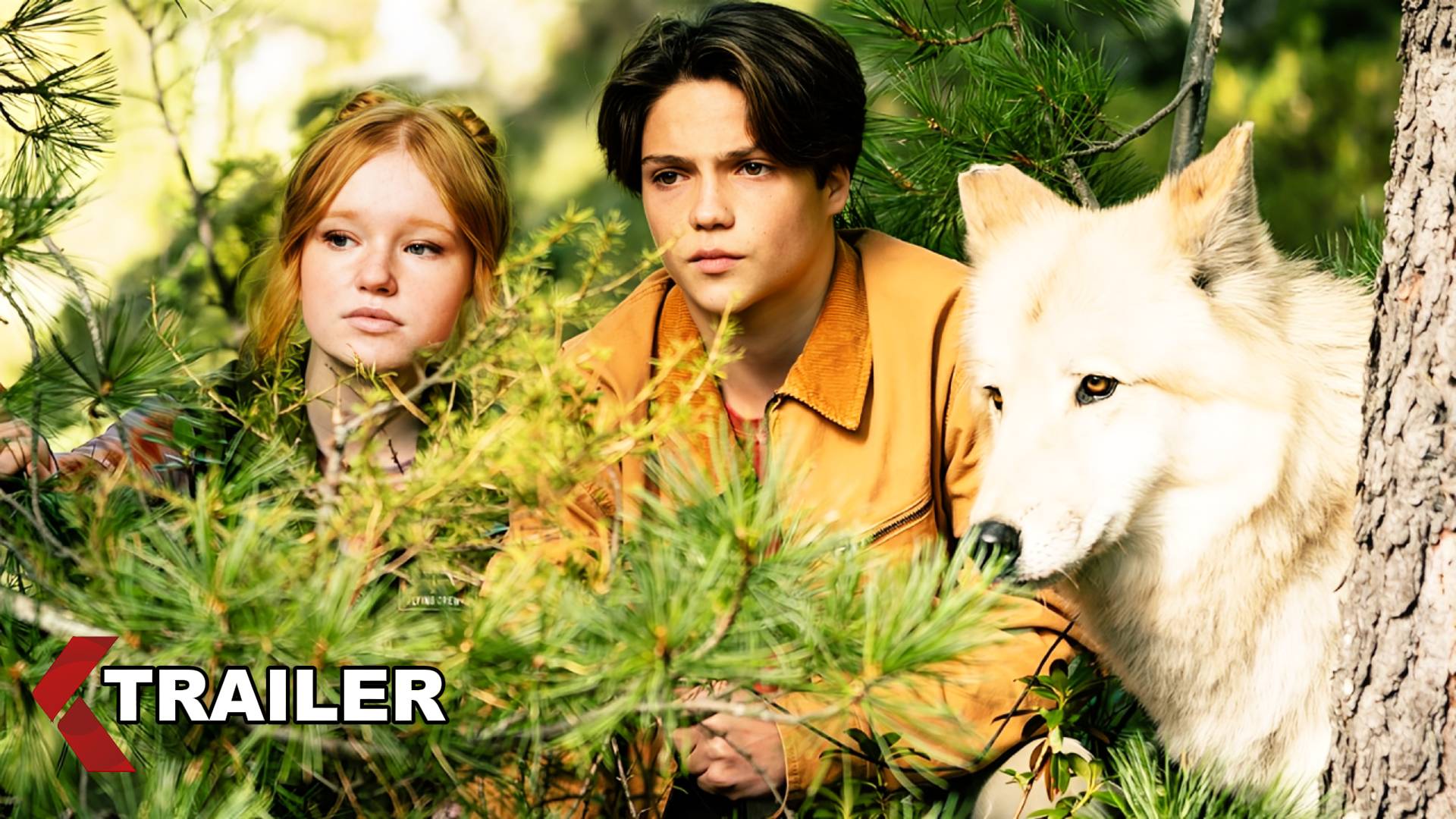 Дети леса 2 — Русский тизер-трейлер (Дубляж, 2026) смотреть онлайн