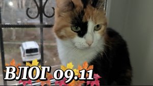 ВЛОГ 🥰УТРО 🌄 09.11🫶