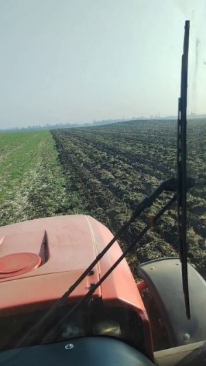 какой сегодня день? сегодня день чизелёвки 😁🔥