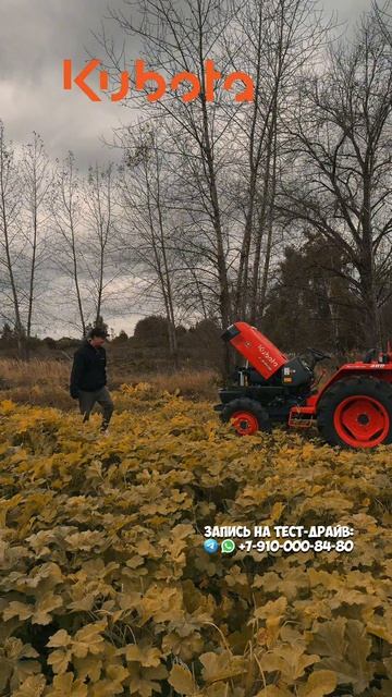 Нужна надежная машина на все случае жизни? Kubota L3408 4WD #трактор #минитрактор #купитьтрактор смотреть онлайн