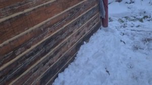 Утепляю дом снегом. Когда, как и почему делаю снеговую обваловку.