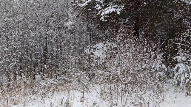Зачем на старость нам пенять. Татьяна Самаль смотреть онлайн