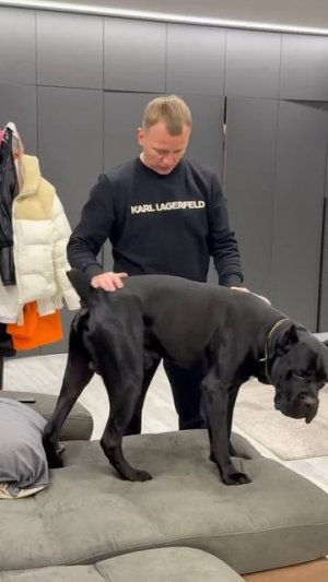 Демонюга! ★ Кто по Жизни / Нарезки / Чат рулетка / Виталий Реутов / КПЖ