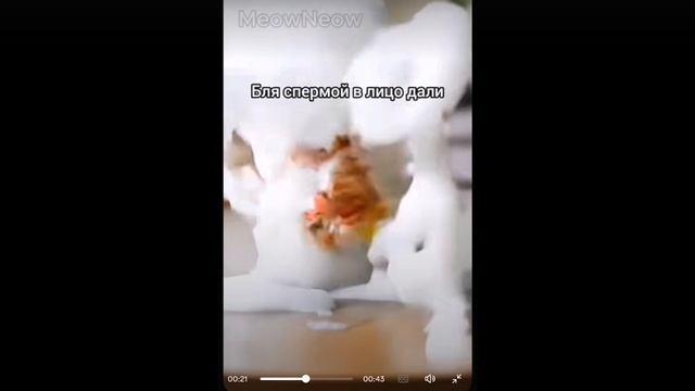 КХХАХАХПХПХХК ЭЛЕКТРО КОТ смотреть онлайн