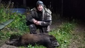 Охота на кабана
