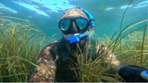 Лобан, кефаль. Подводная охота в Черном море осенью 2025г.