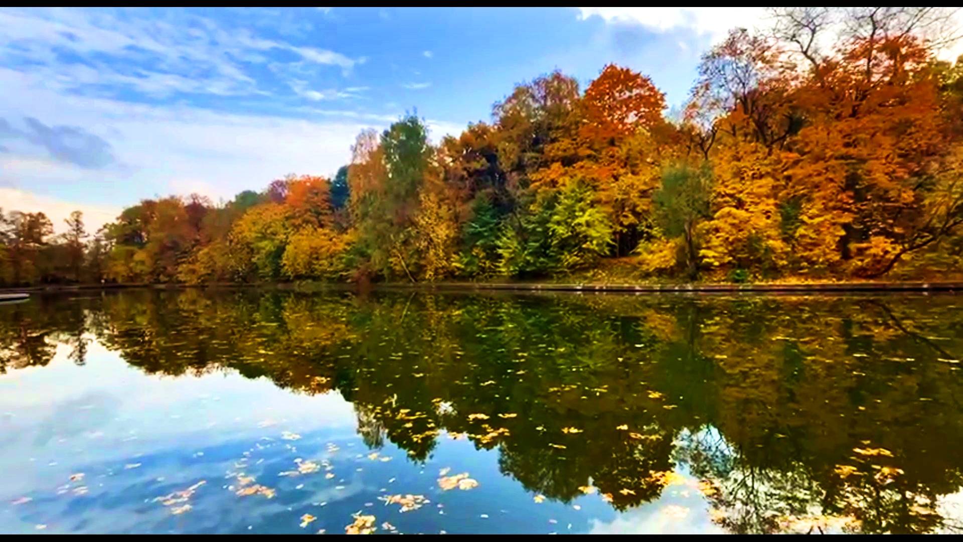 ПОЧУВСТВУЙ МАГИЮ ОСЕНИ! ДОБРОГО УТРА ВСЕМ! смотреть онлайн