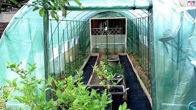 Восстанавливаю парник с автоматизированным капельным поливом.