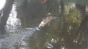 День ВМФ 2024 в Белгороде