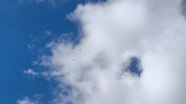 липецкая область Семёновка смотреть онлайн