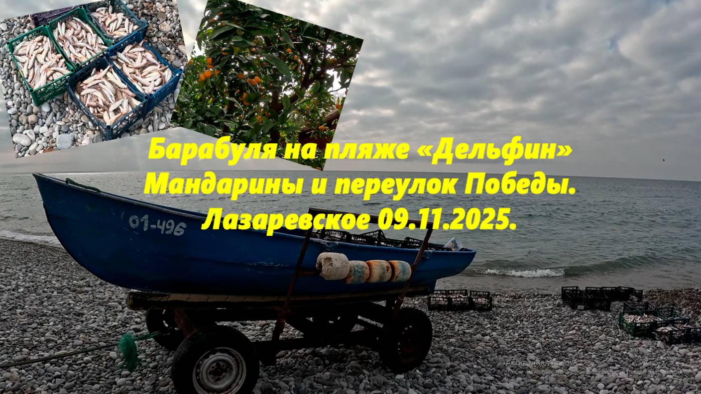 Барабуля на Дельфине! Мандарины и пер. Победы. Лазаревское 09.11.2025. смотреть онлайн