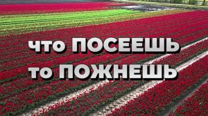 ЧТО ПОСЕЕШЬ То ПОЖНЁШЬ|НОВАЯ Христианская песня