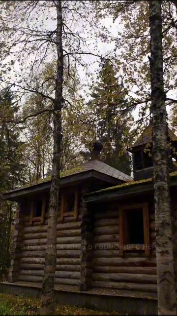 Мурманск у будущего северный характер. Пушкарева Яна Константиновна. Фестиваль «Земля открытий» смотреть онлайн