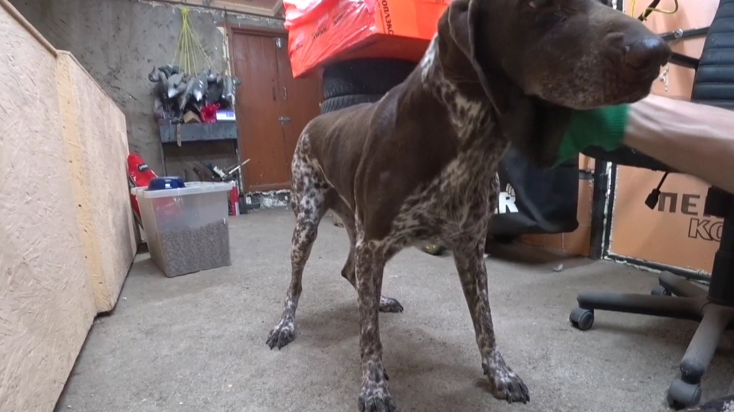 Гильза, последняя охота смотреть онлайн