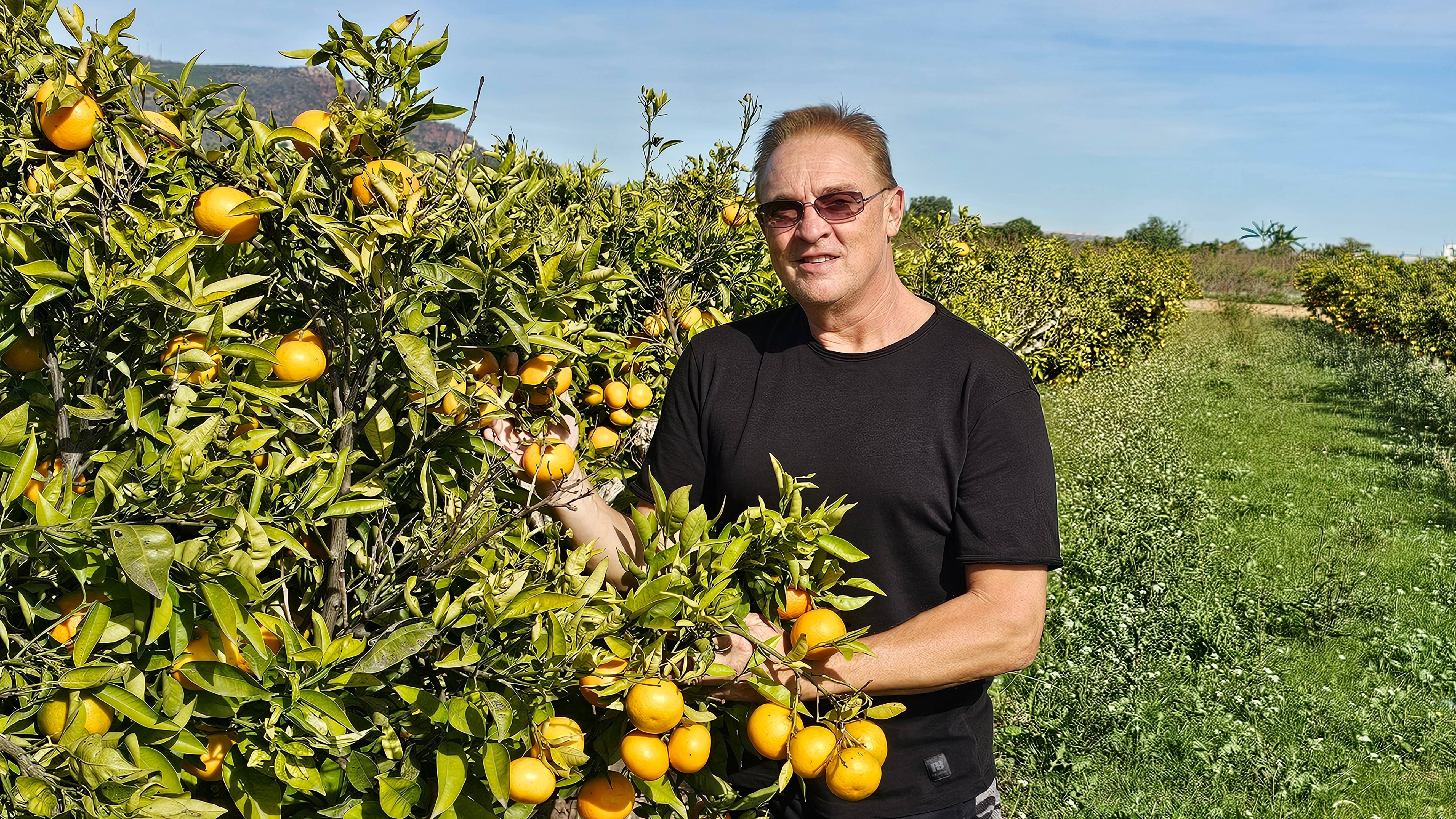 Поля под Валенсией в ноябре