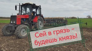 Посевная озимых 2025!