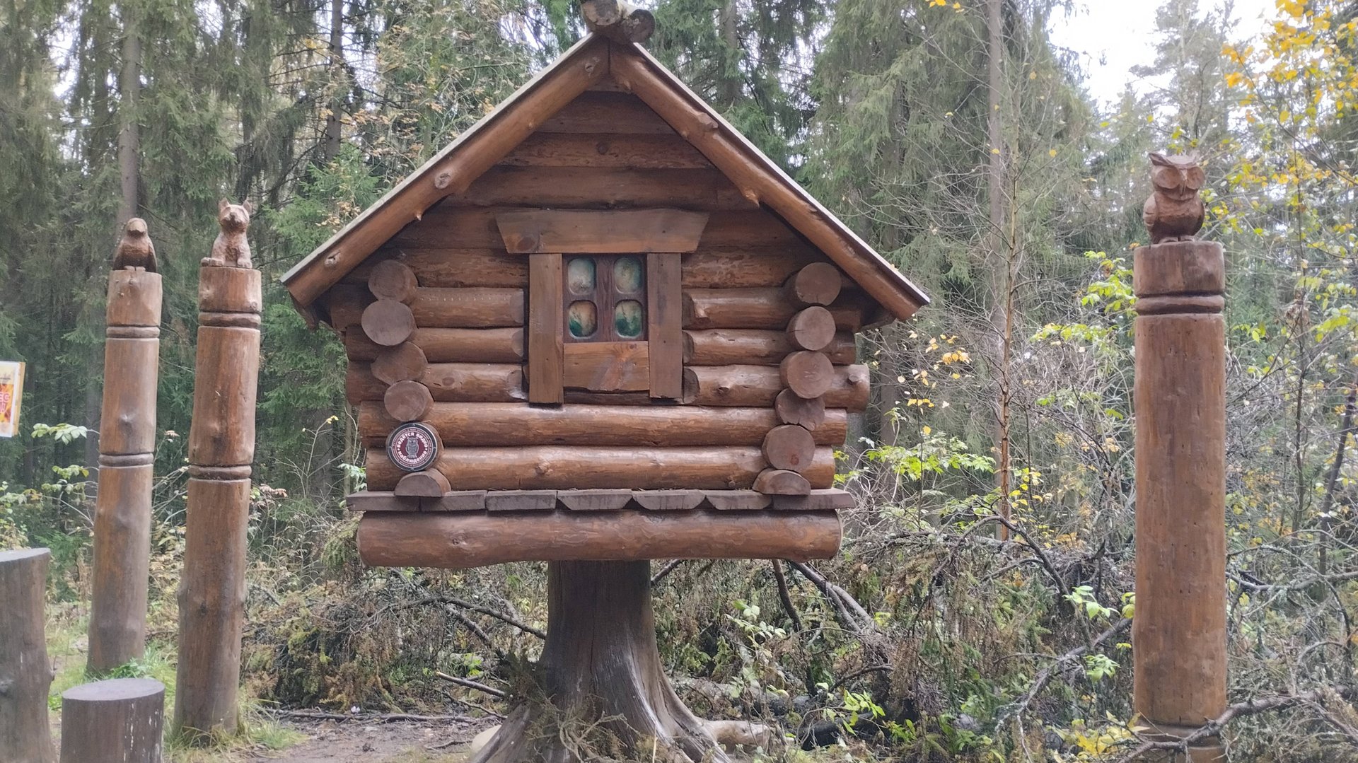 Экотропа _Лесные сказки смотреть онлайн