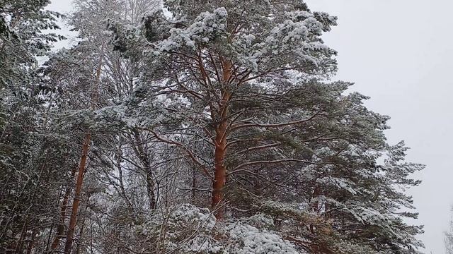 Я на потом не строю планы. Сана (vipmuz. net ) смотреть онлайн