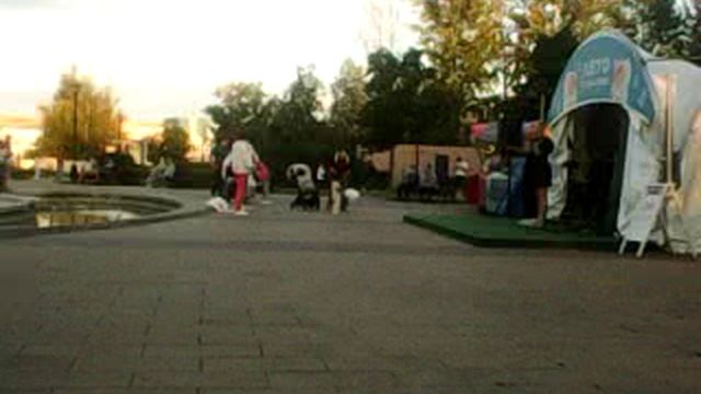 8 АВГУСТА 2025 ГОДА ФЕСТИВАЛЬ ЛЕТО В МОСКВЕ 2025 08.08.2025г МУЗЫКА ИЗВЕСТНЫХ АРТИСТОВ... смотреть онлайн