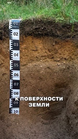 ПОЧЕМУ в Питере нельзя оставлять машину в подземном паркинге #спб #недвижимость #авто